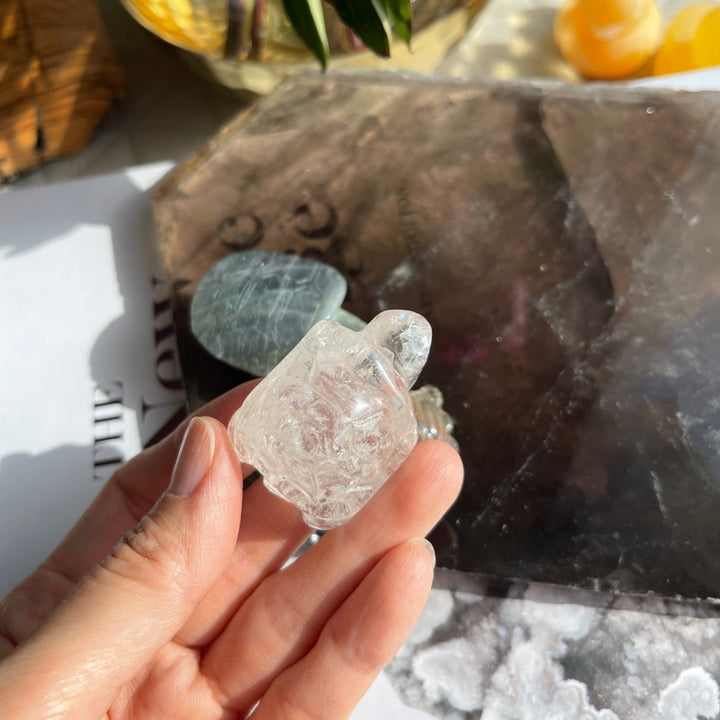 Crystal Turtle Carvings