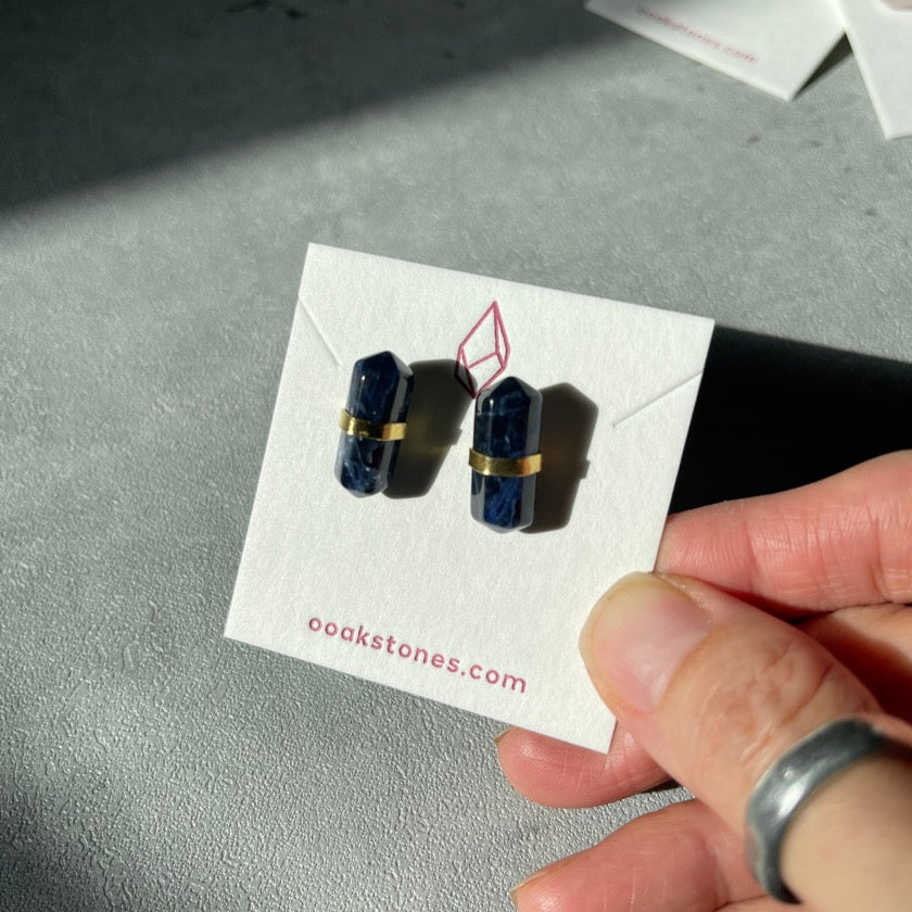 Double Terminated (DT) Earrings