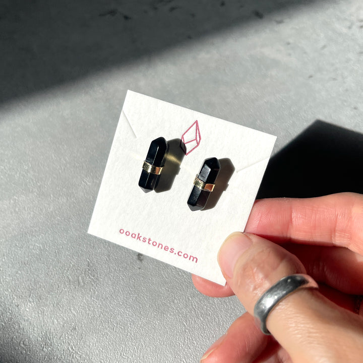 Double Terminated (DT) Earrings