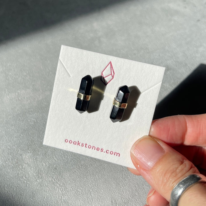 Double Terminated (DT) Earrings