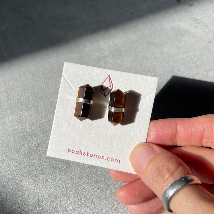 Double Terminated (DT) Earrings