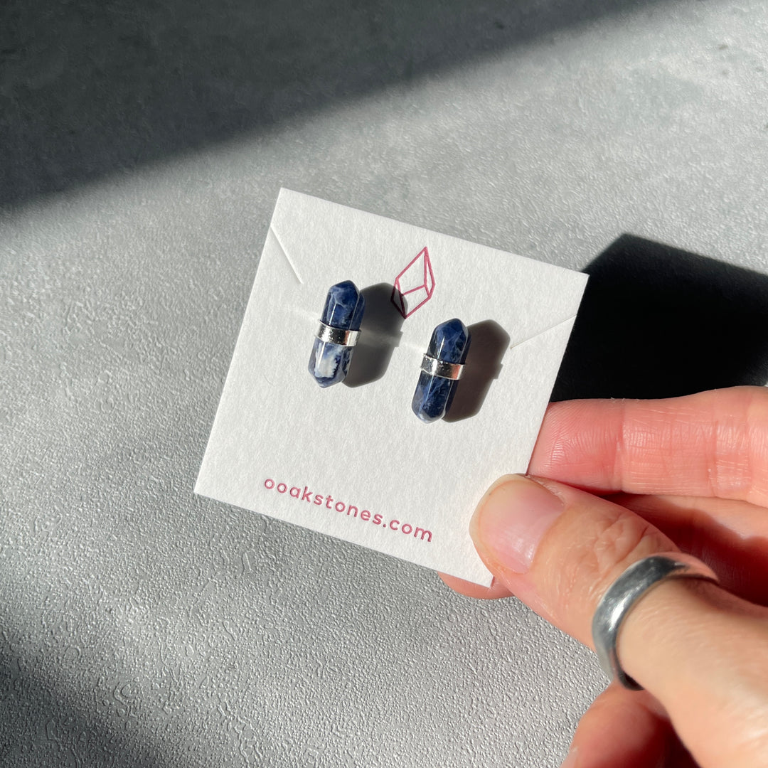 Double Terminated (DT) Earrings