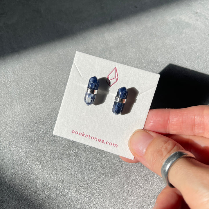 Double Terminated (DT) Earrings
