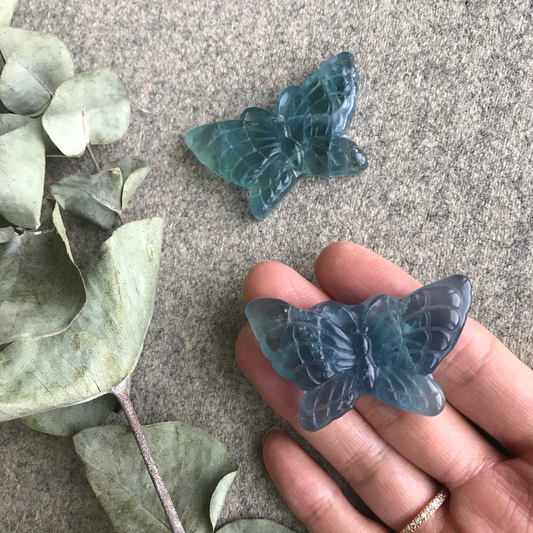 Blue Fluorite Butterfly