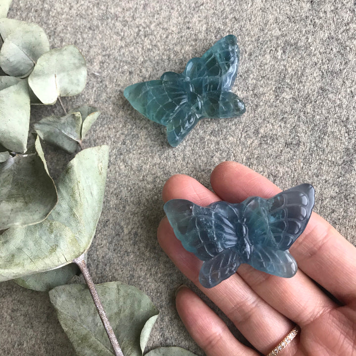 Blue Fluorite Butterfly