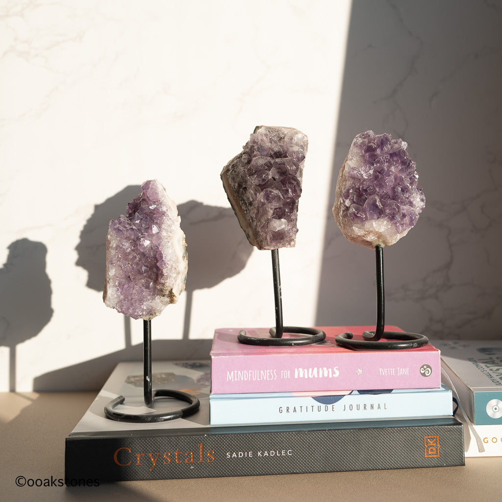 Amethyst Free form Clusters on stand
