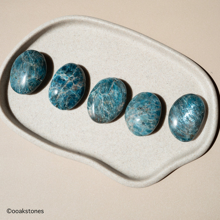 Blue Apatite Palm Stone