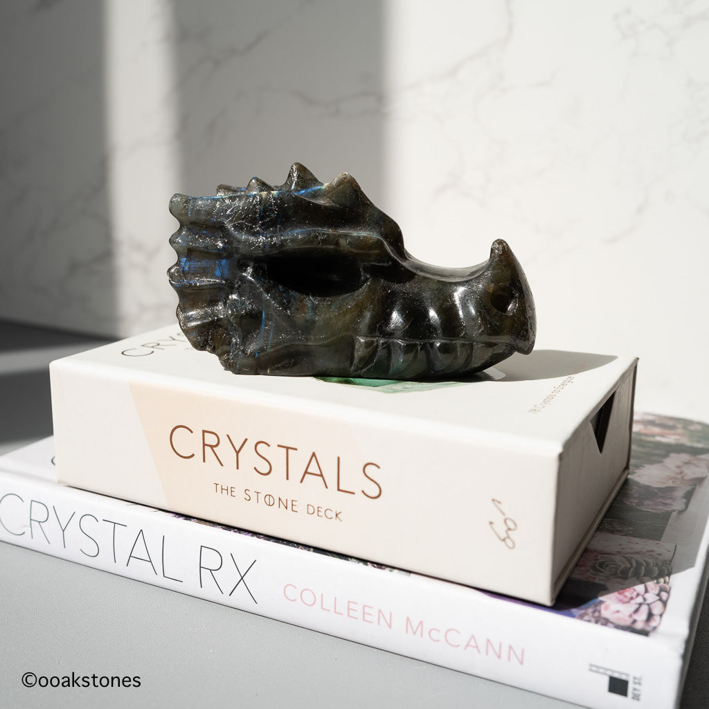 Crystal Dragon Head