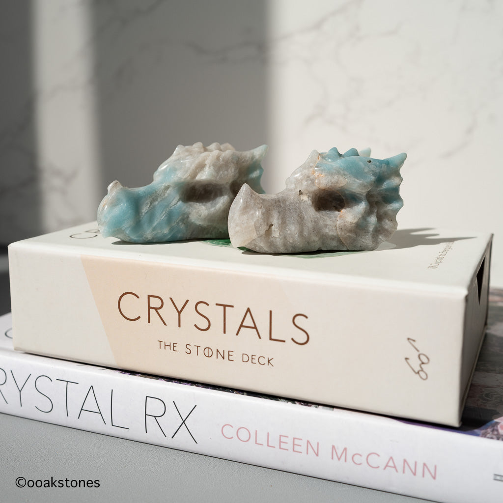 Crystal Dragon Head