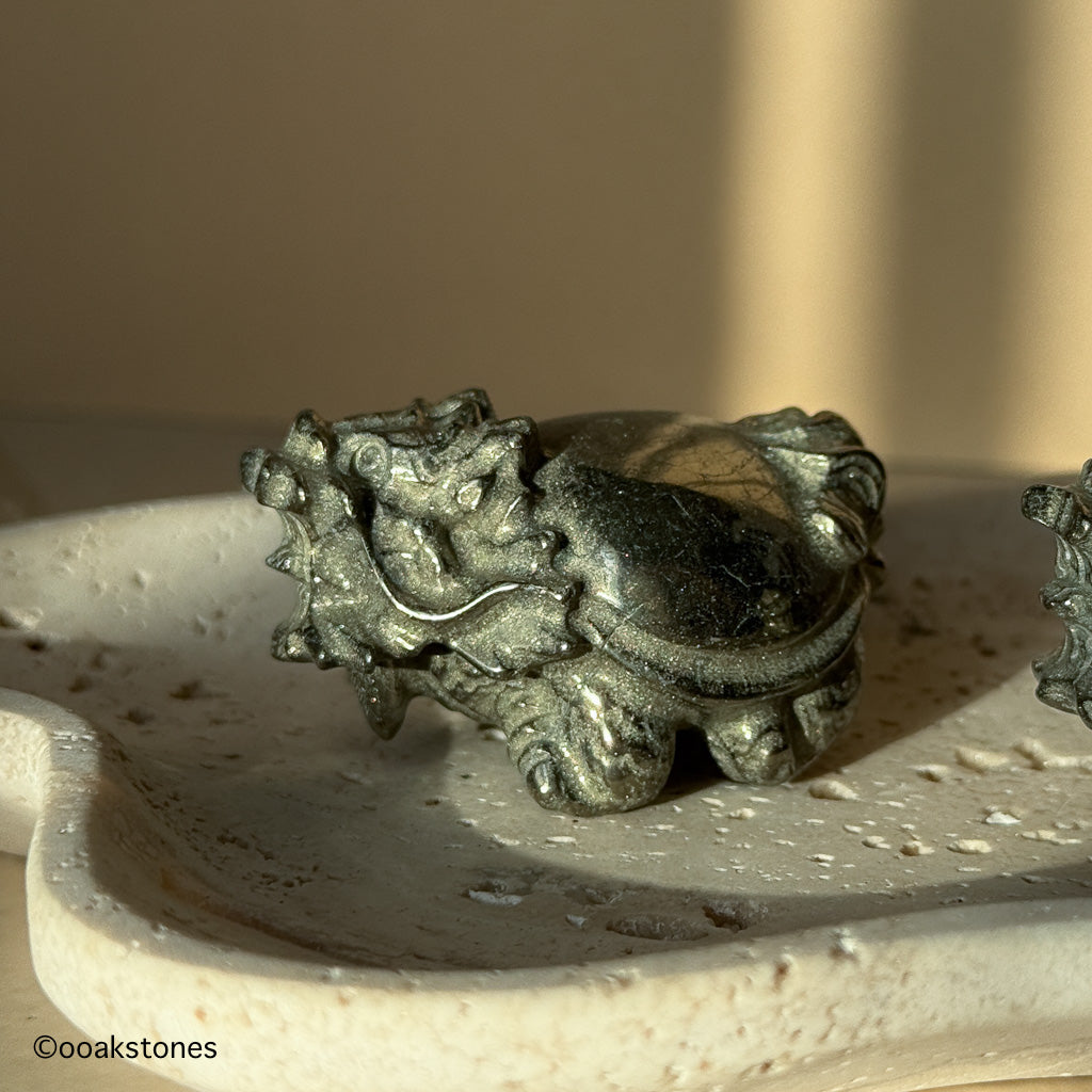 Chinese Dragon Turtle Carvings