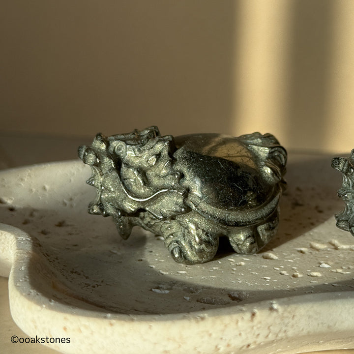 Chinese Dragon Turtle Carvings