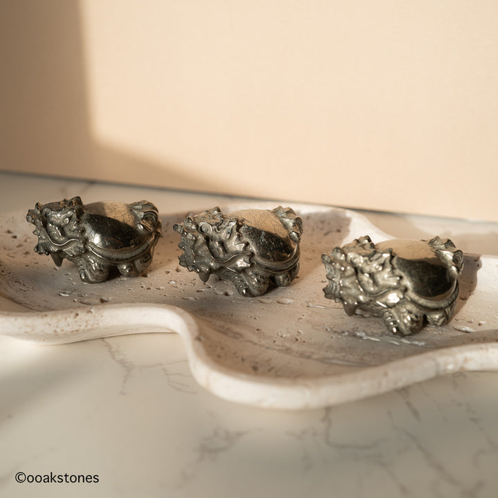 Chinese Dragon Turtle Carvings