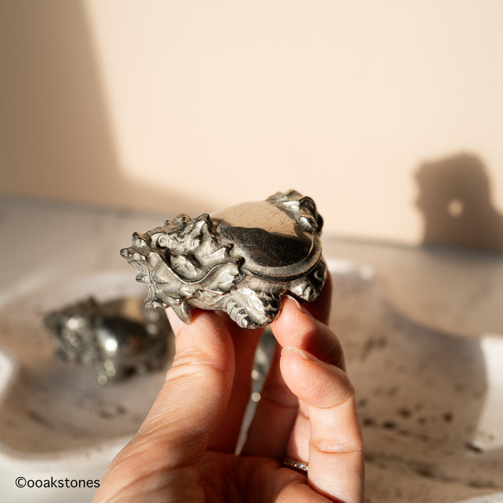 Chinese Dragon Turtle Carvings