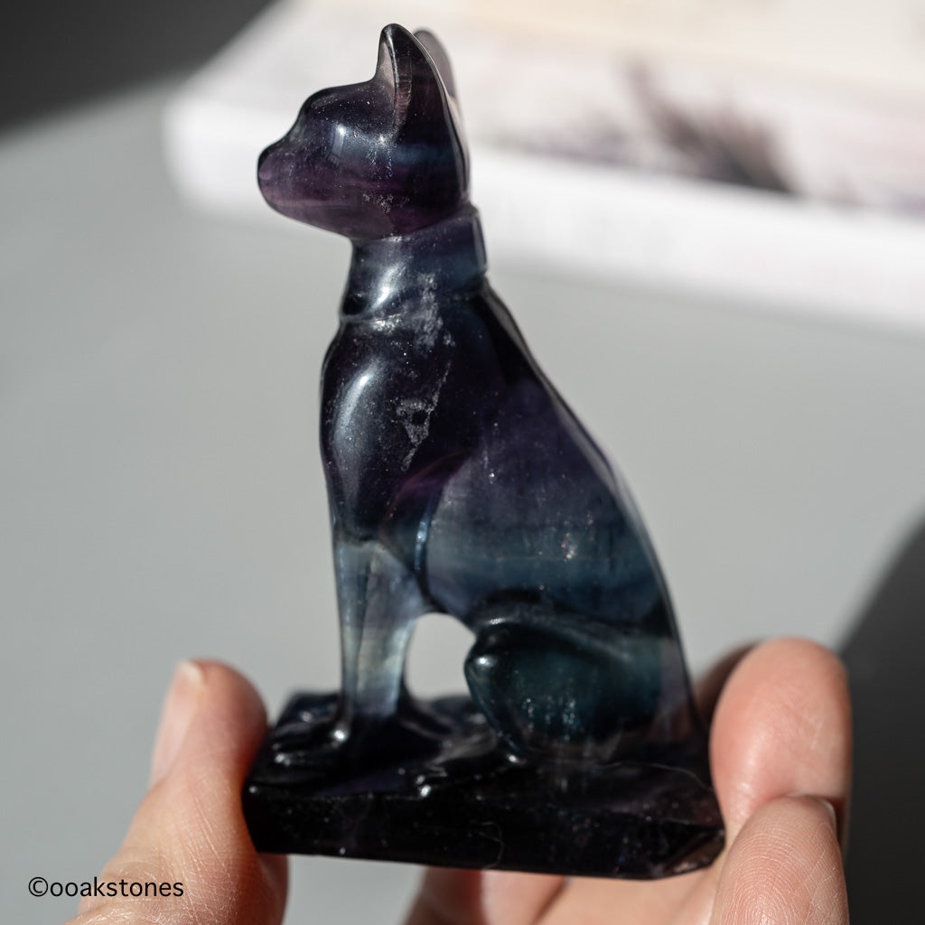 Fluorite Cat