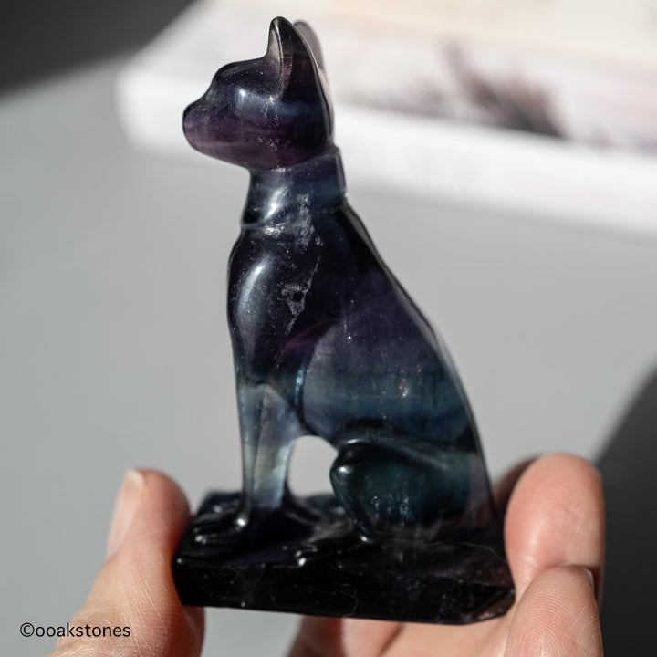 Fluorite Cat