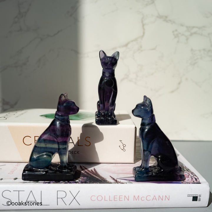 Fluorite Cat