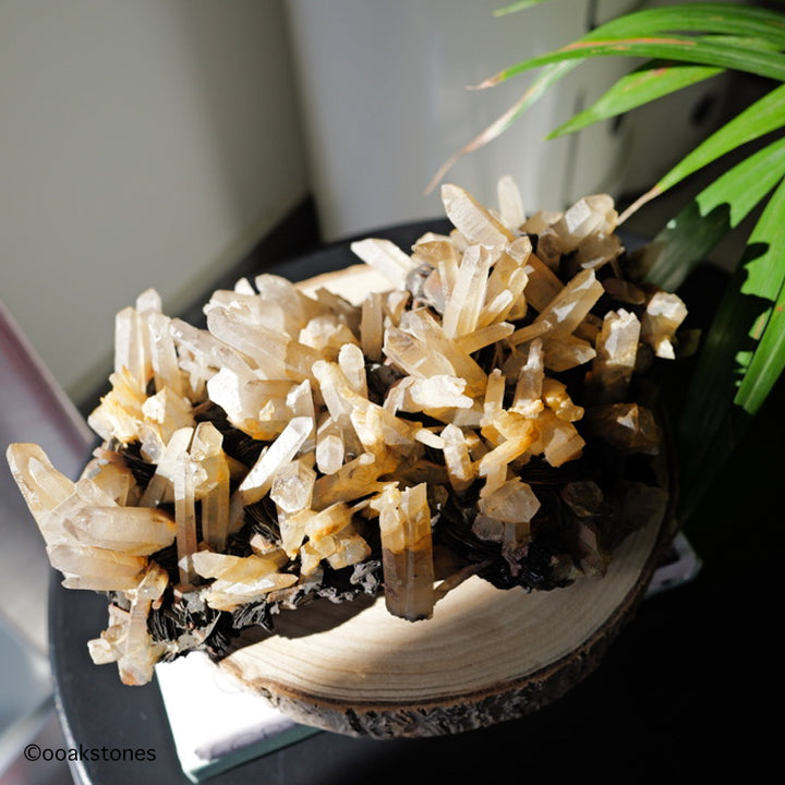 Hematite Cluster with Quartz on Matrix