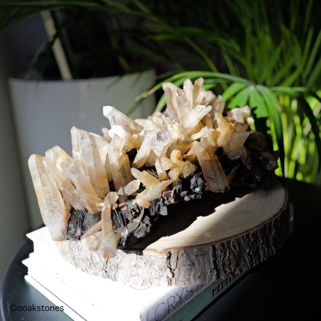 Hematite Cluster with Quartz on Matrix