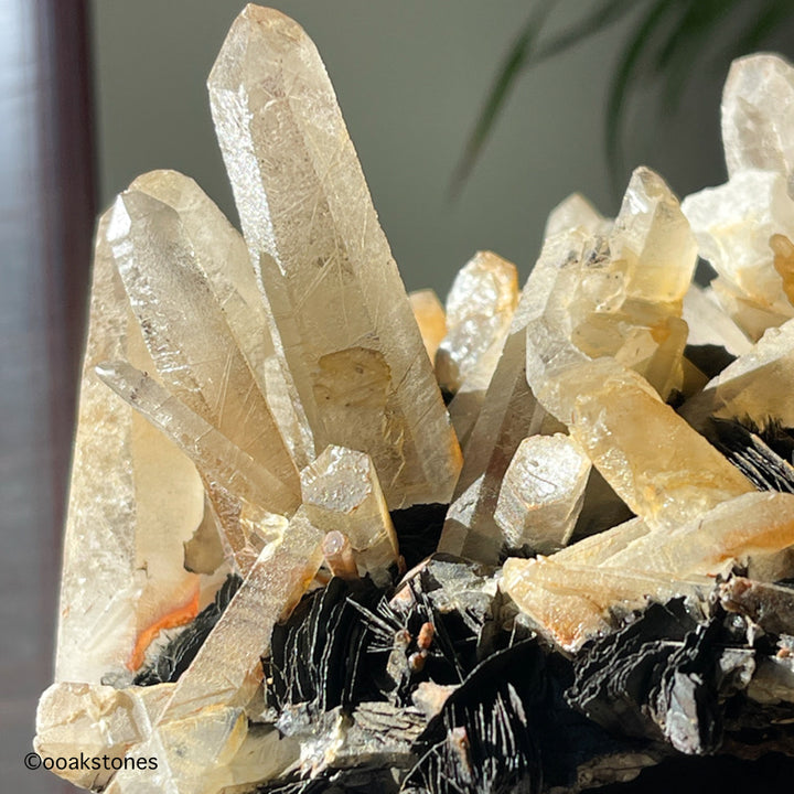 Hematite Cluster with Quartz on Matrix