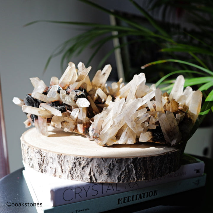 Hematite Cluster with Quartz on Matrix