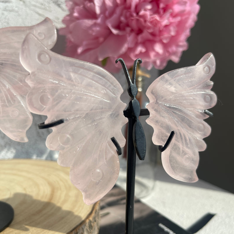 Butterfly Wings