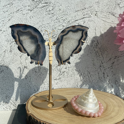 Butterfly Wings