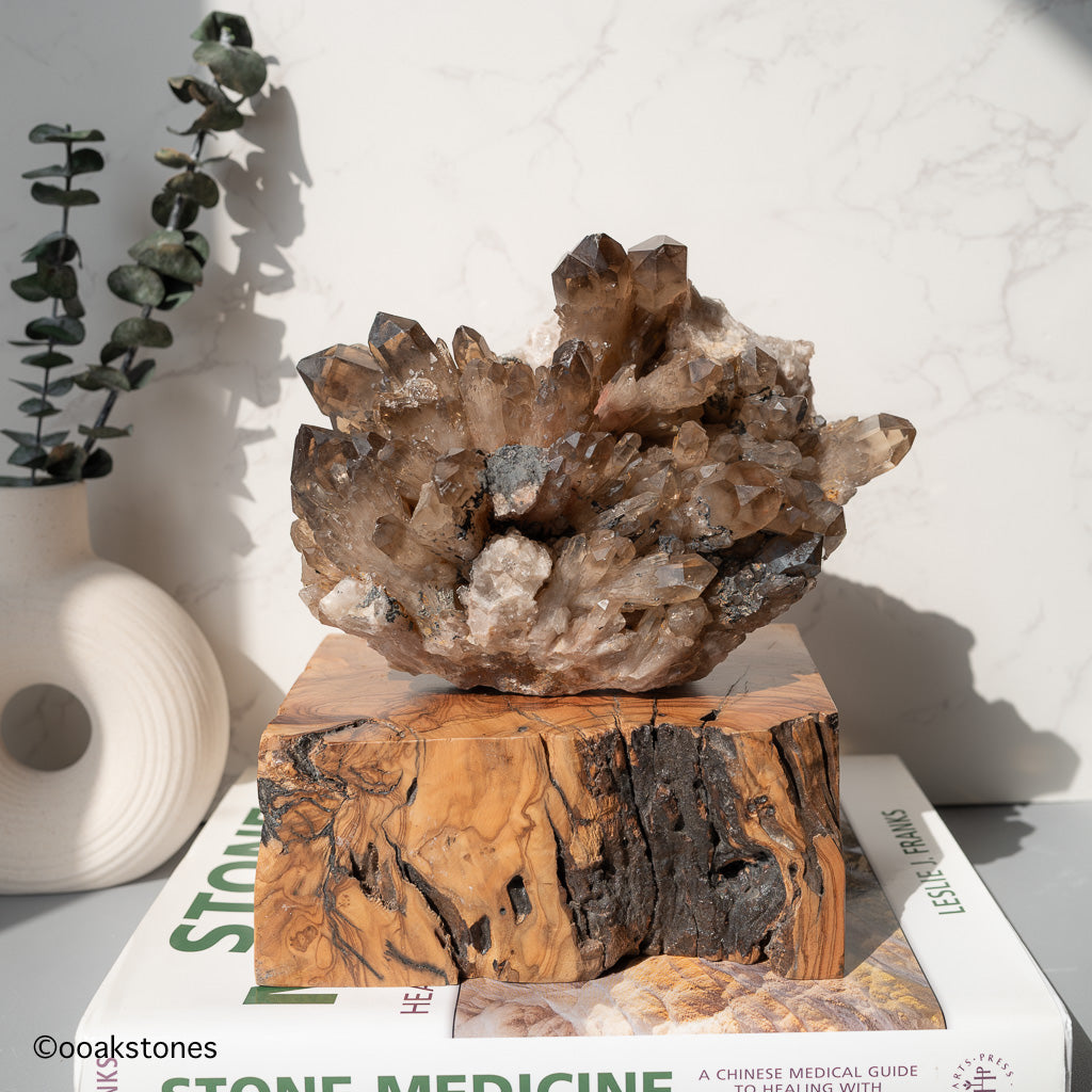 Statement Kundalini Citrine Cluster