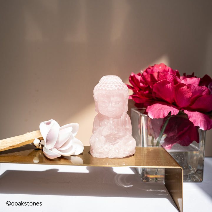 Praying Buddha