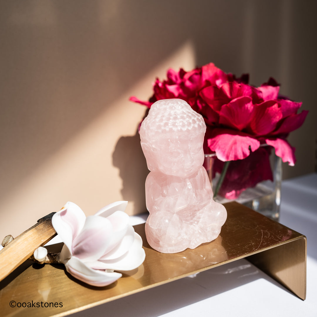 Praying Buddha