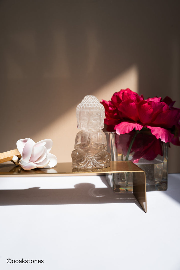 Praying Buddha