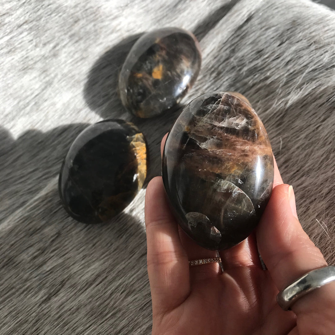 Black moonstone Palm Stone