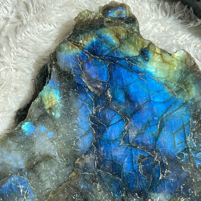 Labradorite displaying strong blue flash