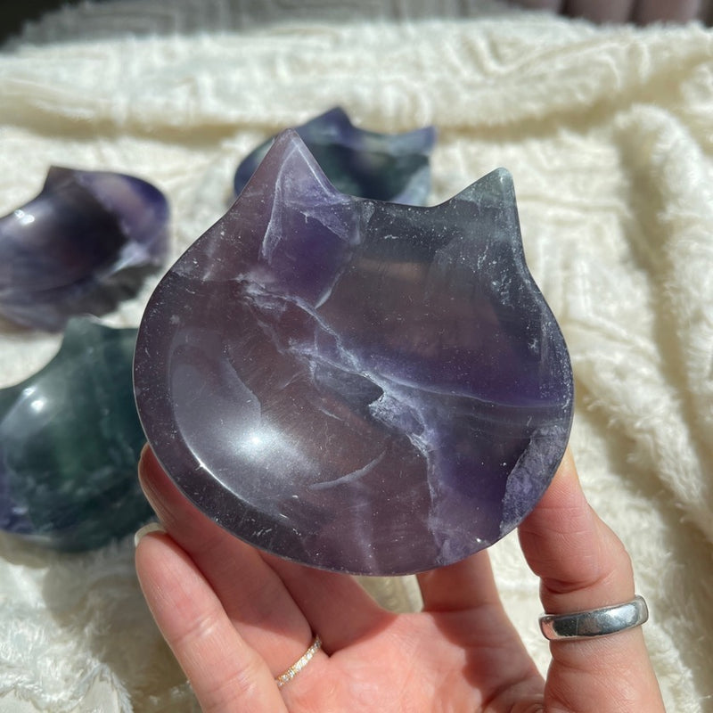 Fluorite cat bowl in purple