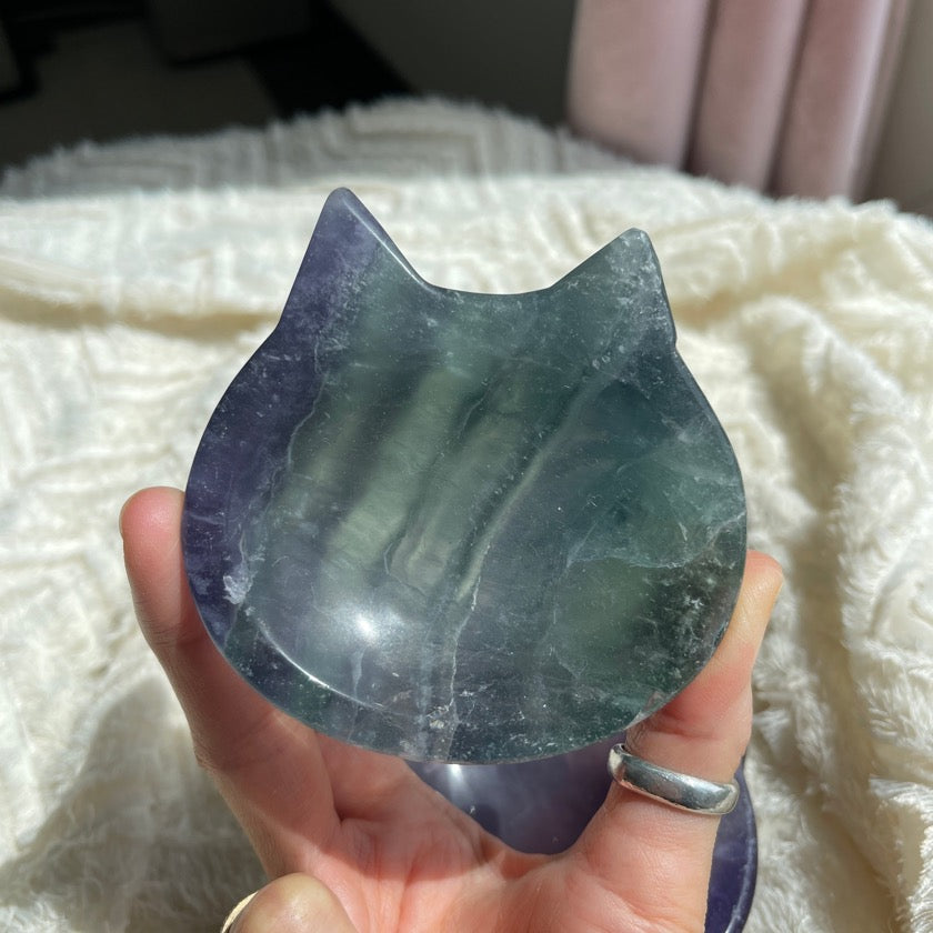 Fluorite cat bowl in teal green