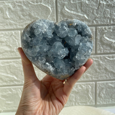 OOAKSTONE - Baby blue Celestite heart clusters in hand