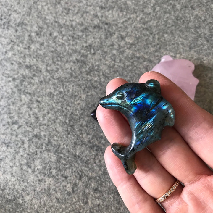 Mini Crystal Dolphins