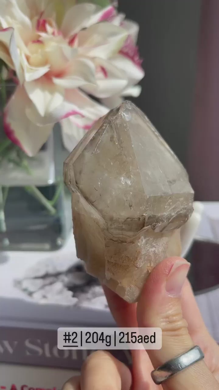 Smoky / Citrine Elestial Quartz