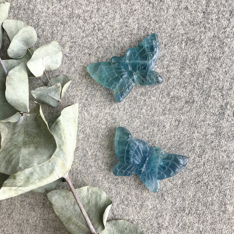 Blue Fluorite Butterfly